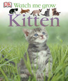 Kitten