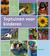 Toptuinen voor kinderen (Hardcover)
