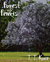 Forest of Fenris