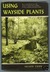 Using Wayside Plants