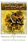 Illuminating Guidance on the Dropping of Self-Direction Illuminating Guidance on the Dropping of Self-Direction