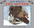The Mitten 20th Anniversary Edition (Hardcover)