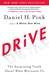 Drive: The Surprising Truth About What Motivates Us (Paperback)