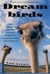 Dreambirds: The Strange History of the Ostrich in Fashion, Food, and Fortune (Paperback)