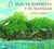 El Mar, La Tormenta y El Manglar (Paperback)