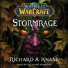 Stormrage (World of Warcraft, #7)