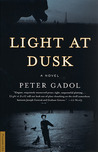 Light at Dusk: A Novel