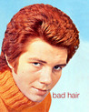 Bad Hair (Hardcover) Bad Hair (Hardcover)