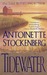 Tidewater by Antoinette Stockenberg Tidewater by Antoinette Stockenberg
