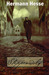 Steppenwolf (Paperback)