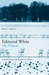 The Flaneur: A Stroll Through the Paradoxes of Paris (Paperback)