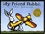 My Friend Rabbit (Paperback)