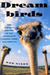 Dreambirds: The Strange History of the Ostrich in Fashion, Food, and Fortune