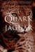 The Quark and the Jaguar: A...