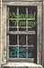 Natural Enemy (Homer Kelly Mystery #4)