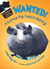 WANTED! A Guinea Pig Called Henry (Hardcover)
