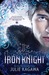 The Iron Knight (Iron Fey, #4)
