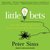 Little Bets: How Breakthrough Ideas Emerge from Small Discoveries (Audiobook)