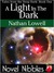 A Light In The Dark (ebook)