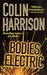 Bodies Electric: A Novel