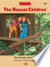 The Boxcar Children: Tree House Mystery