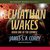 Leviathan Wakes (Expanse, #1)