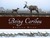 Being Caribou: Five Months on Foot with a Caribou Herd (Hardcover)