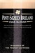 Pint-Sized Ireland: In Search of the Perfect Guinness (Paperback)