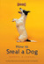 How to Steal a Dog (Paperback)