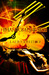 Phantom Universe (Summer Chronicles, #1)