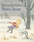 Brave Irene (Paperback)