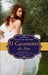 O Casamento do Ano (Paperback)