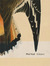 Killdeer: Essay-Poems