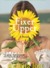 Fixer Upper