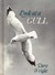 Look at a Gull