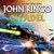 Citadel (Troy Rising, #2)