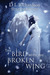 The Bird with the Broken Wing (ebook)