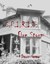 S.P.I.R.I.T.: FireStorm (ebook)