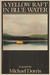 A Yellow Raft In Blue Water (Hardcover)