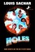 Holes (Paperback)