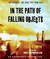 In the Path of Falling Objects (Audio CD)