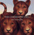 The Cinder-Eyed Cats (Hardcover)