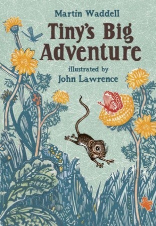 Tiny's Big Adventure (Horn Book Fanfare List (Awards))
