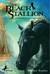The Black Stallion (The Black Stallion, #1)