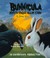 Bunnicula Meets Edgar Allan Crow (Bunnicula, #7)