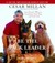 Be the Pack Leader: Use Cesar's Way to Transform Your Dog . . . and Your Life (Audio CD)