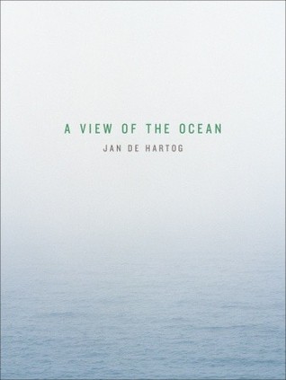 A View of the Ocean