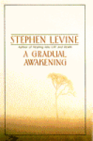 A Gradual Awakening by Stephen Levine