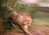 Wild at Heart: Man and Beast in Southern Africa Wild at Heart: Man and Beast in Southern Africa