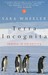 Terra Incognita: Travels in...